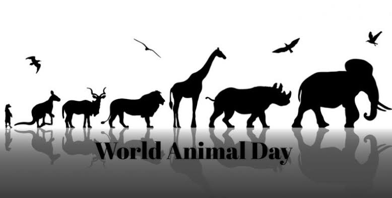 World Animal Welfare Day